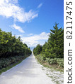 白貝殼路（北海道稚內市） 82117475