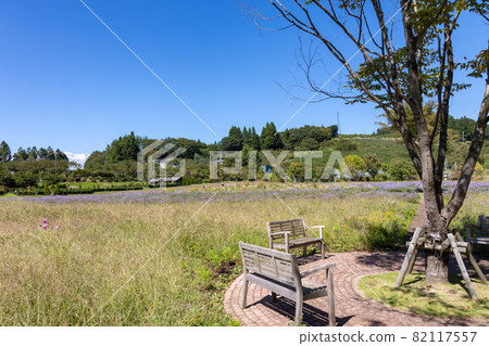 Nakanojo Gardens Spiral Field 82117557
