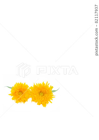 Sunflower summer memories Van Gogh sunflower non-pollen high-branch sunflower 82117937