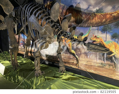 和孩子一起去看一場強大的恐龍展吧！ 82119505