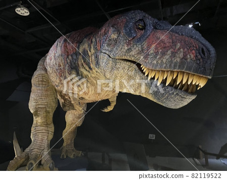 和孩子一起去看一場強大的恐龍展吧！ 82119522