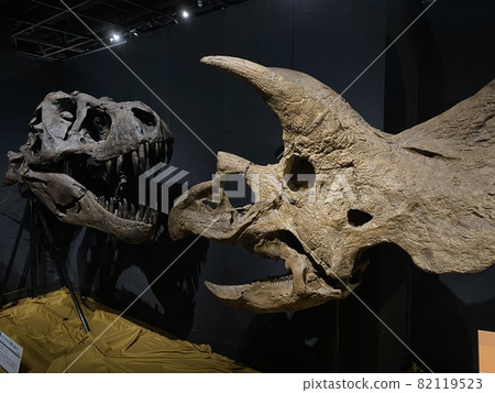 Let's go to a powerful dinosaur exhibition with children! Let's go to a powerful dinosaur exhibition with children! 82119523