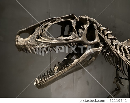 和孩子一起去看一場強大的恐龍展吧！ 82119541