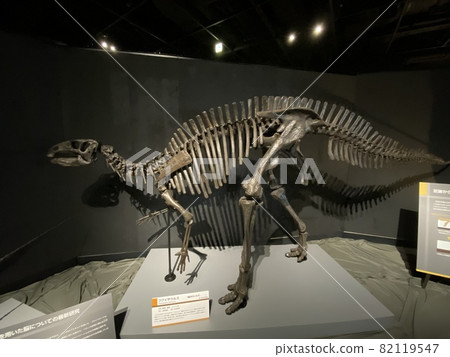 和孩子一起去看一場強大的恐龍展吧！ 82119547