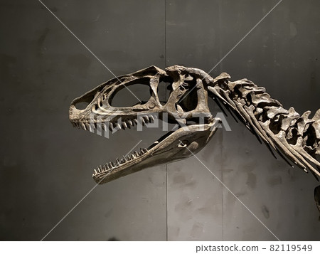 和孩子一起去看一場強大的恐龍展吧！ 82119549