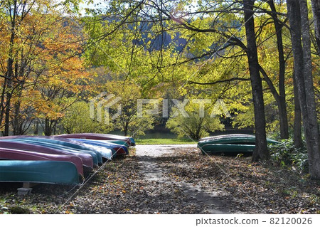 Many boats and grove on the hill Many boats and grove on the hill 82120026