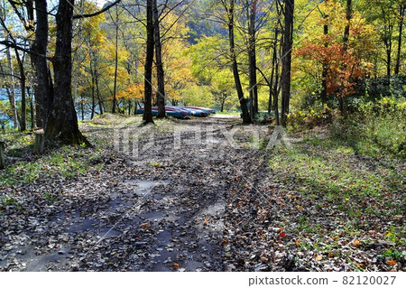 Waterside shade and fallen leaves Waterside shade and fallen leaves 82120027