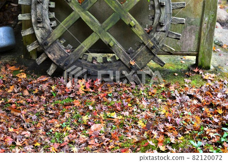 落葉和水輪齒輪 82120072