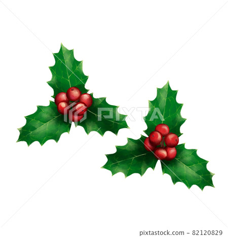 沒有畫線的鮮紅綠冬青 82120829