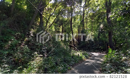 從茅崎城入口到小口的道路 從茅崎城入口到小口的道路 82121528