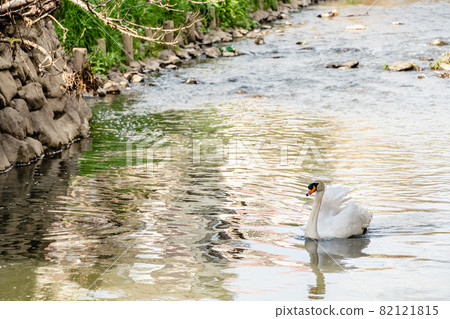 Swan 82121815