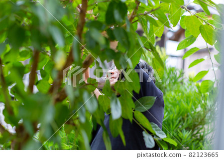 Tree selection gardening 82123665