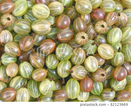 Crop of red gooseberries in a bucket closeup.Texture or background Crop of red gooseberries in a bucket closeup.Texture or background 82123669