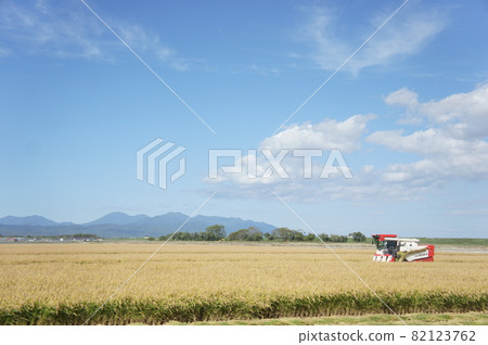 Rice harvesting scenery in Hokkaido 82123762