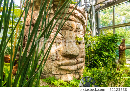 戶田川公園溫室花卉中心<愛知縣名古屋市> 戶田川公園溫室花卉中心<愛知縣名古屋市> 82123888