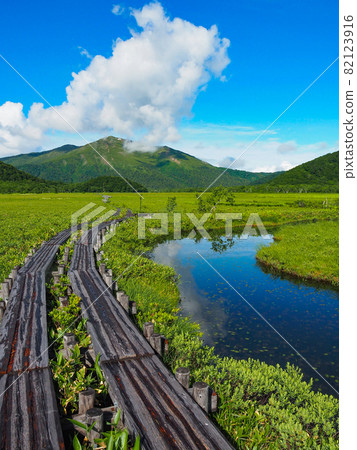 初夏從尾瀨原看到的志佛山 初夏從尾瀨原看到的志佛山 82123916