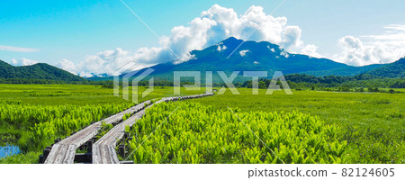 初夏從尾瀨原望見的樋浜 82124605