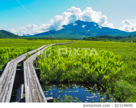 Hiuchigatake seen from Ozegahara in early summer 82124606