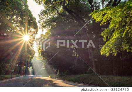 Sunlight shining above Torii gate in Meiji Shrine, Meiji Jingu in Tokyo, Japan Sunlight shining above Torii gate in Meiji Shrine, Meiji Jingu in Tokyo, Japan 82124720