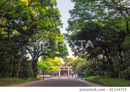 Meiji Jingu Shinto shrine in Tokyo, Japan 82124725