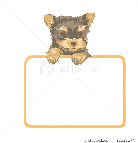 Cute yorkshire terrier, puppy speech bubble 82125174