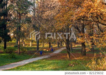 city park on a sunny autumn morning. walkway among trees in orange foliage city park on a sunny autumn morning. walkway among trees in orange foliage 82125632