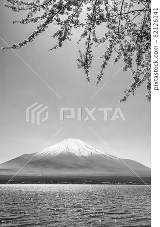 View of the Mt. Fuji symbol of Japan and Yamanaka lake with cherry blossoms 82126141