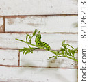 Larvae of Papilio machaon eating leaves 82126213