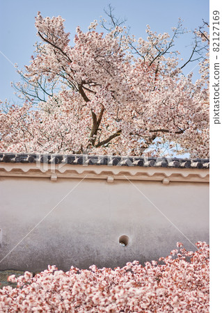 Himeji castle wall with cherry blossoms in Himeji, Japan Himeji castle wall with cherry blossoms in Himeji, Japan 82127169