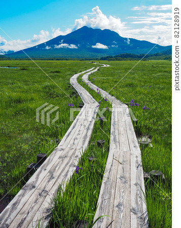 初夏從尾瀨原望見的樋浜 82128919