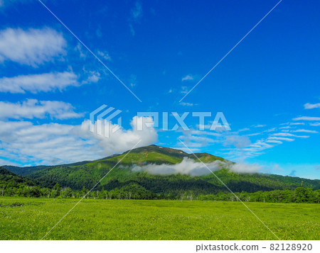 初夏從尾瀨原看到的志佛山 82128920