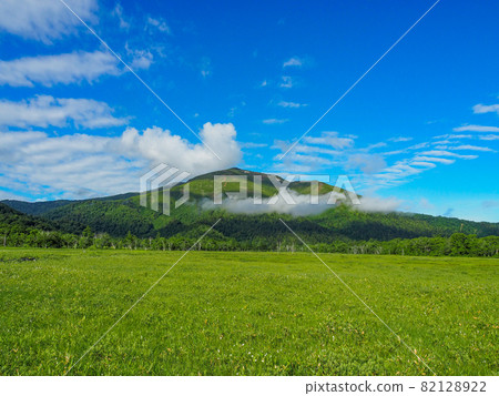 初夏從尾瀨原看到的志佛山 初夏從尾瀨原看到的志佛山 82128922