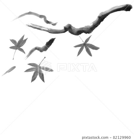 Illustration of maple and branches (hand-drawn illustration of ink) 82129960