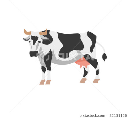 Holstein cow with black and white spots in flat vector illustration isolated 82131126