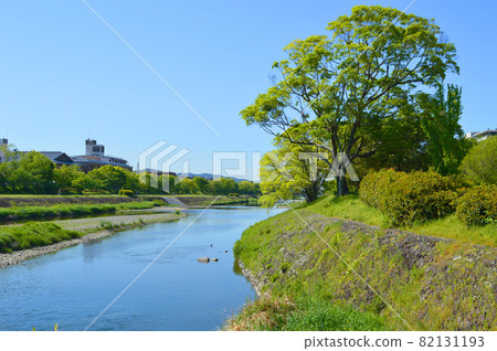 位於京都市上京區鴨大橋南部的鴨川五月陽光明媚，風景如畫。-照片素材