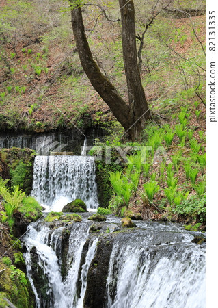 Shiraito Falls of Karuizawa 82131335