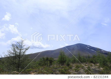 Mt. Asama Mt. Asama 82131344
