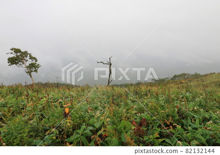 Lake Mashu in the autumn rain and the surrounding scenery Lake Mashu in the autumn rain and the surrounding scenery 82132144