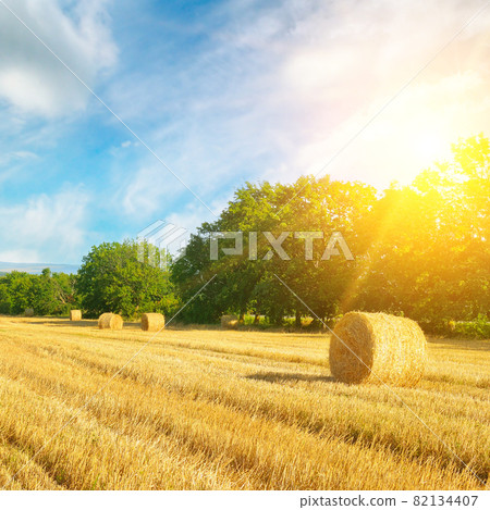 A field with straw bales after harvest on the sky background. A field with straw bales after harvest on the sky background. 82134407
