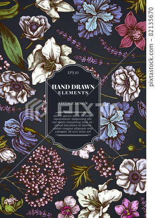 Card design on dark background with anemone, lavender, rosemary everlasting, phalaenopsis, lily 82135670