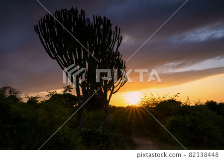 Sunrise, Uganda Sunrise, Uganda 82138448