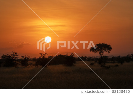 Sunrise, Uganda Sunrise, Uganda 82138450