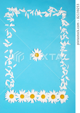 Flowers and petal composition. Chamomile on a blue background. Flowers and petal composition. Chamomile on a blue background. 82139253