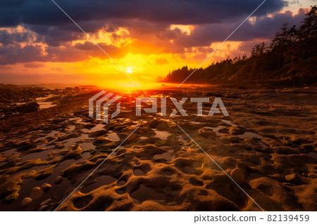 Botanical Beach on the West Coast of Pacific Ocean. Botanical Beach on the West Coast of Pacific Ocean. 82139459