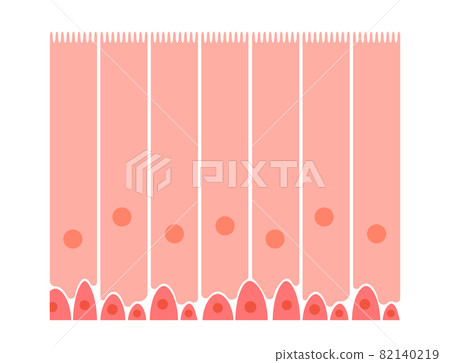 Epithelium of nasal mucosa 82140219