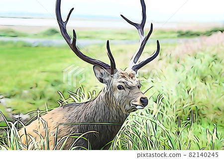 粉彩風格的“蝦夷鹿”插圖圖像 82140245