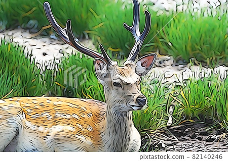 粉彩風格的“蝦夷鹿”插圖圖像 82140246