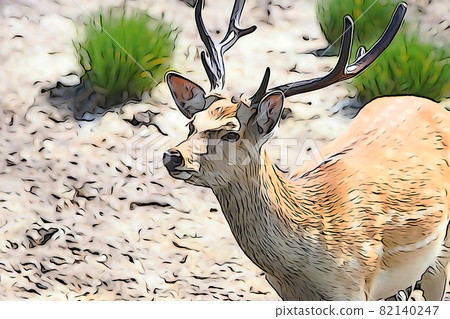 粉彩風格的“蝦夷鹿”插圖圖像 82140247