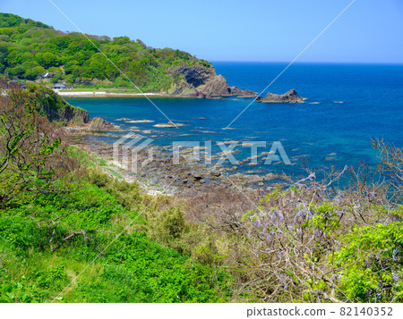 石川 / 珠洲 / 衣之浦海洋公園 82140352