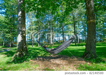 Forest hammock 82140580
